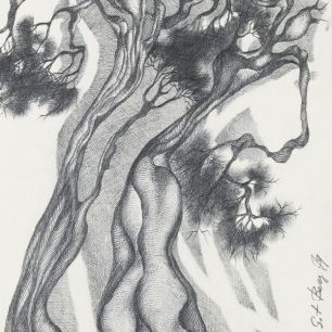 TREE POLONAISE. Pencil on paper, 40х26 cm, 1979.