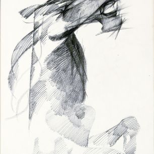 STEED.  Pencil on paper, 40х26 cm, 1980. 