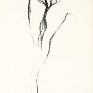 SOLO.  Pencil on paper, 40х26 cm, 1978. 